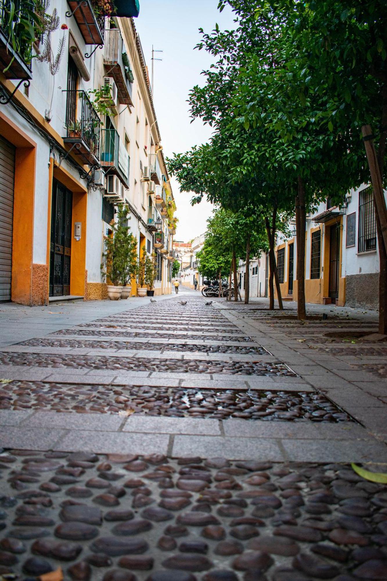 Alojamiento Entero, Centro De Cordoba Con Cochera Dış mekan fotoğraf